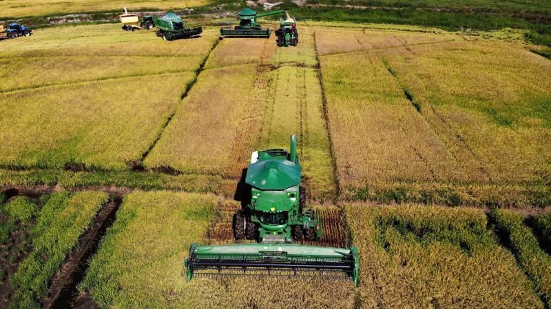 Aerial view of a rice harvest in Mostardas, Rio Grande do Sul state, Brazil, taken on March 11, 2024. (Photo by Silvio AVILA / AFP)