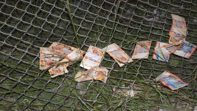 El avión transportaba billetes desde Santa Cruz hasta El Alto. 