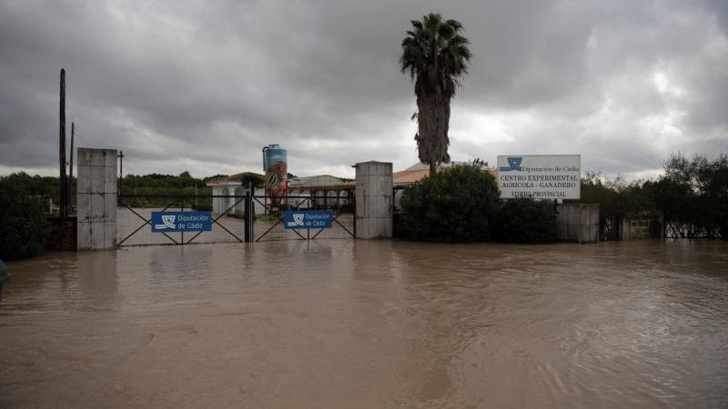 Una imagen tomada el 31 de octubre de 2024 muestra una carretera inundada que conduce a un centro de investigación agrícola y ganadera en Jerez de la Frontera, cerca de Cádiz