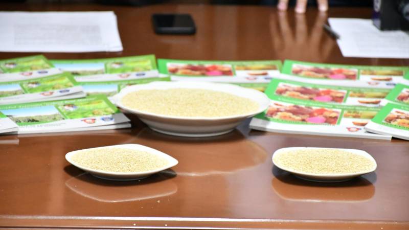 El producto es presentado en la feria que se realiza este viernes.