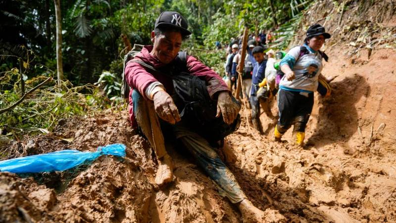 Para cruzar esta selva se demora entre 5 a 10 días