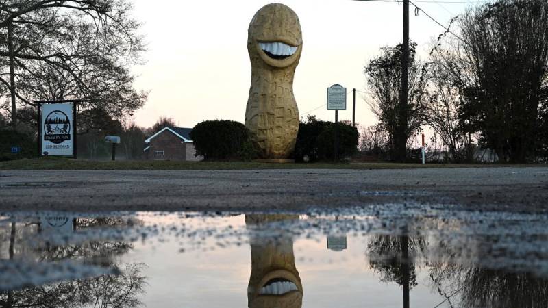 Una estatua de un maní en honor al expresidente estadounidense Jimmy Carter, quien era un agricultor.