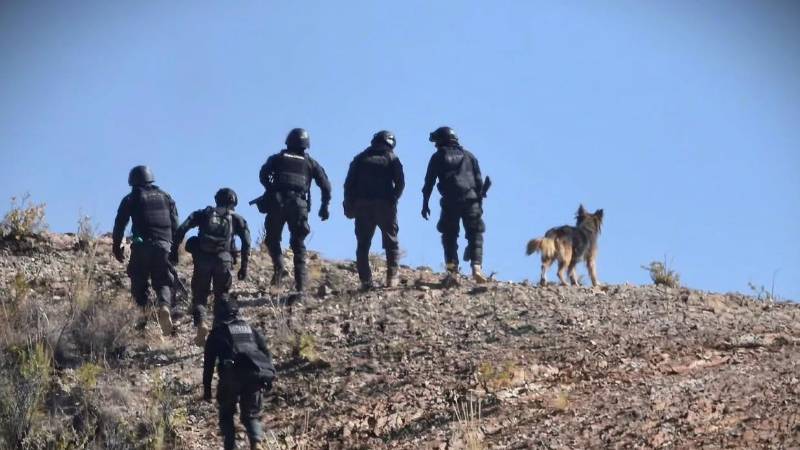 Rex subió a los cerros con la Policía 