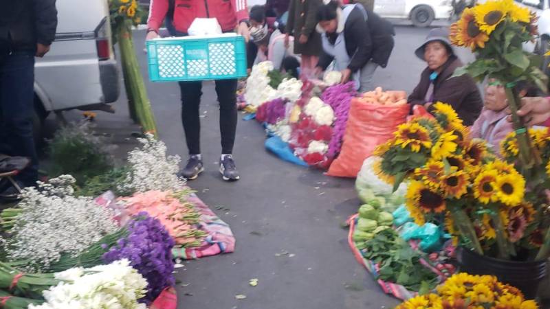 Mercado Calatayud, vendedoras de flores.