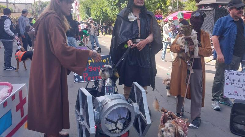 Una familia eligió la temática de Star Wars para participar del Corso de Mascotas.