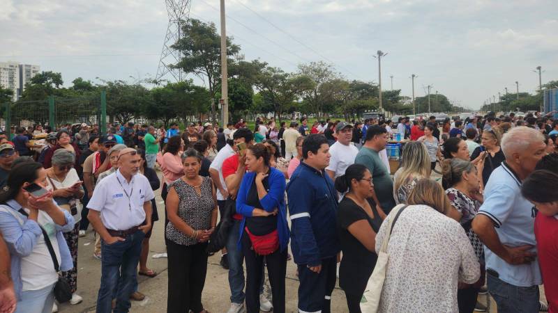 Gran afluencia de personas buscando comprar queso