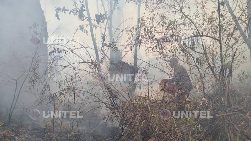 Pobladores de Pocona enfrentan el incendio.