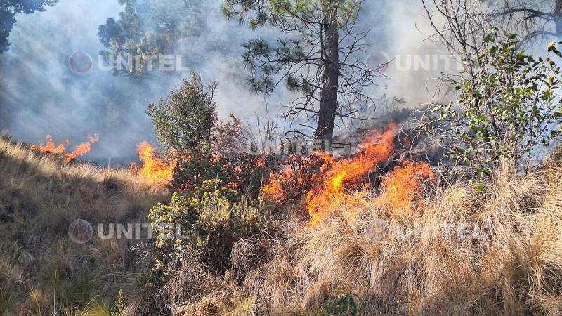 Fuego en el Parque Nacional Tunari.