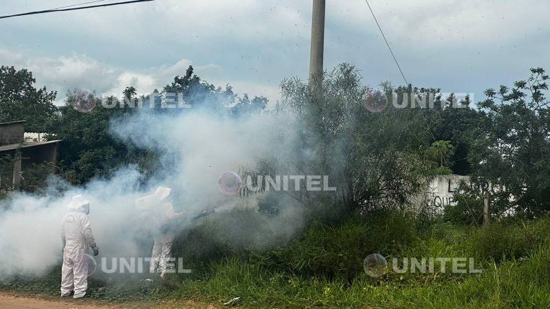 El personal de la Alcaldía fumigó la zona.