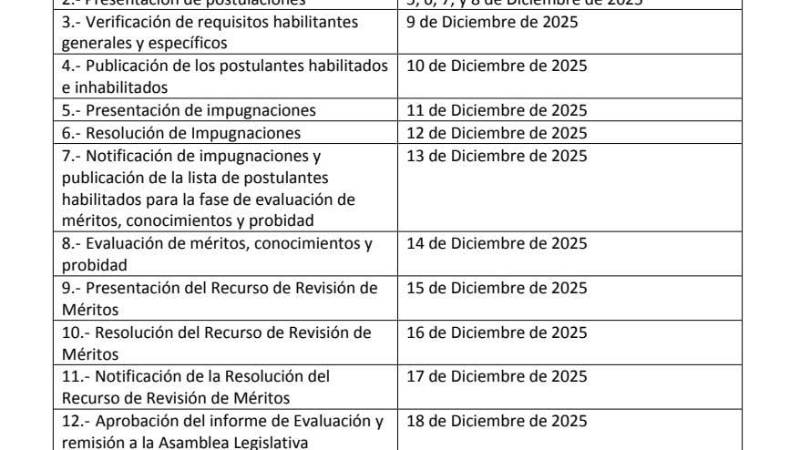 El cronograma del proceso de selección de aspirantes a vocales del TSE.