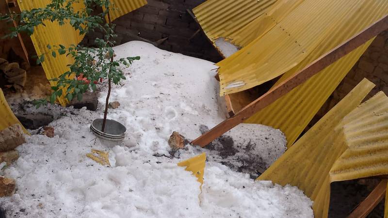 Uno de los invernaderos afectados por la granizada 