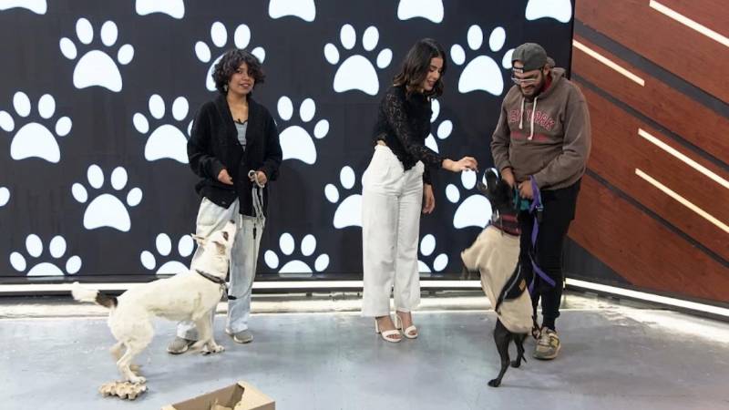 Instructores del centro canino Tuski en La Revista.