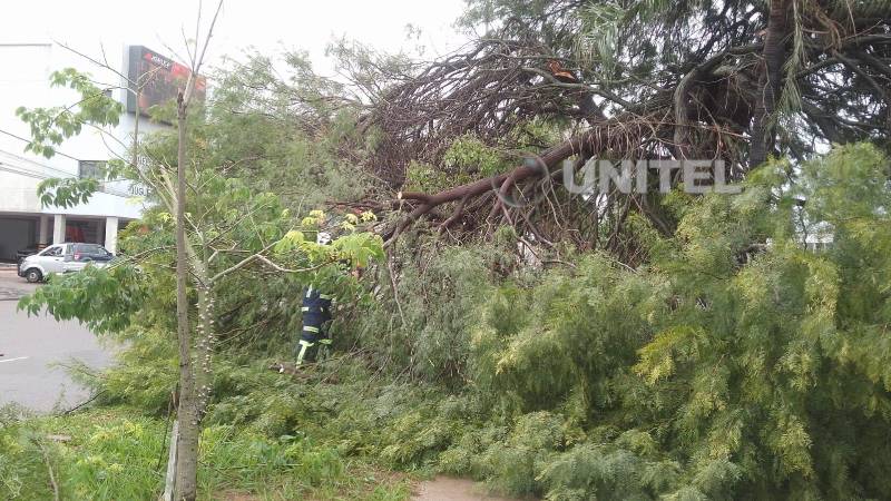 Equipos de emergencia del municipio trabajan en el lugar.