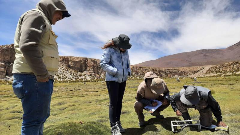 El Instituto Interamericano de Cooperación para la Agricultura (IICA) junto a expertos que estudian los bofedales en Quetena 