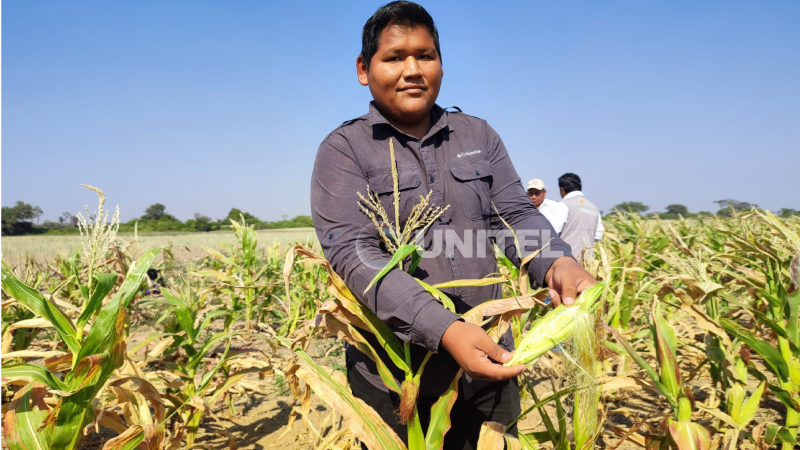 Desde hace varios meses los productores vienen advirtiendo una caída en la producción de maíz a causa de la sequía