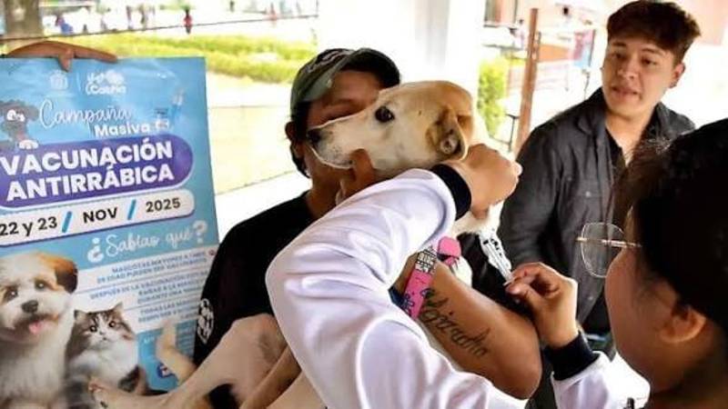 Personal de salud aplica vacuna a una mascota en Cochabamba.