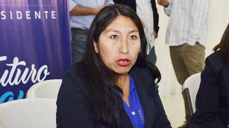 Guachalla es la nueva presidenta de la Comisión de Constitución, Legislación y Sistema Electoral