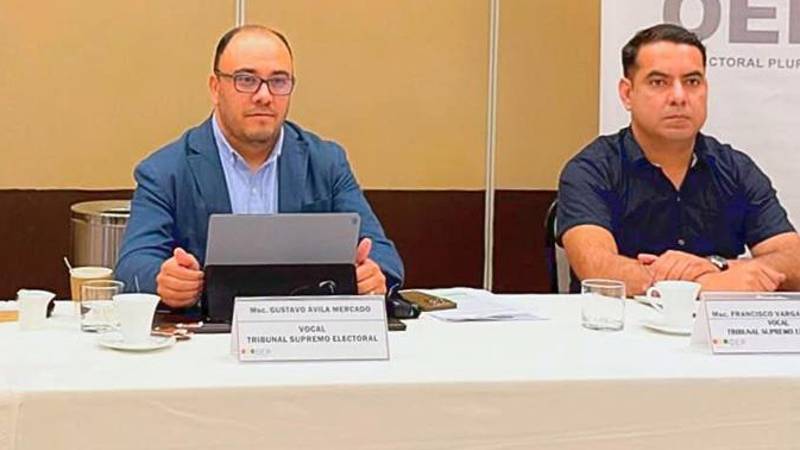 Ávila y Vargas son vocales del TSE