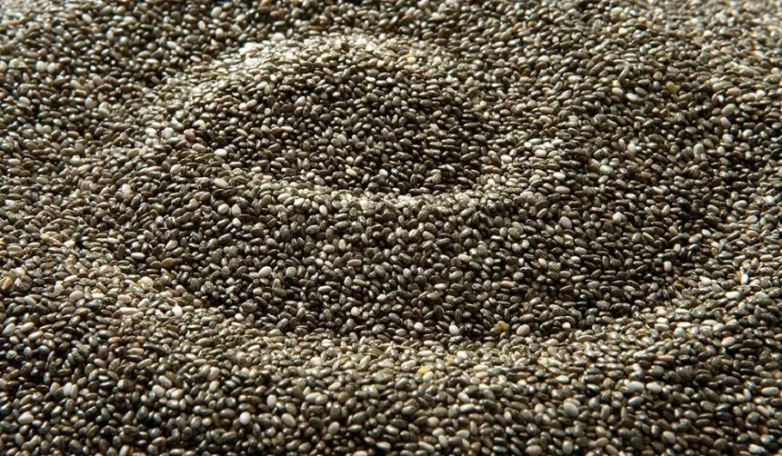 Anapo: Siembra de chía sube a 13.000 hectáreas ante la apertura del mercado chino