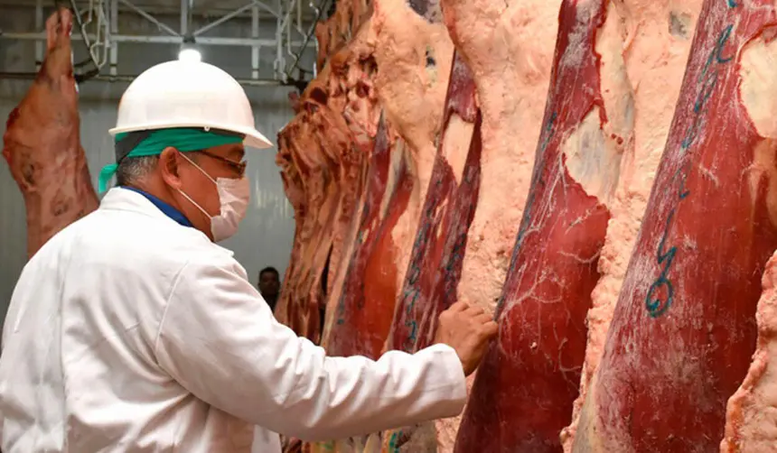 Nuevo mercado de exportación: Egipto abre sus puertas a la carne boliviana