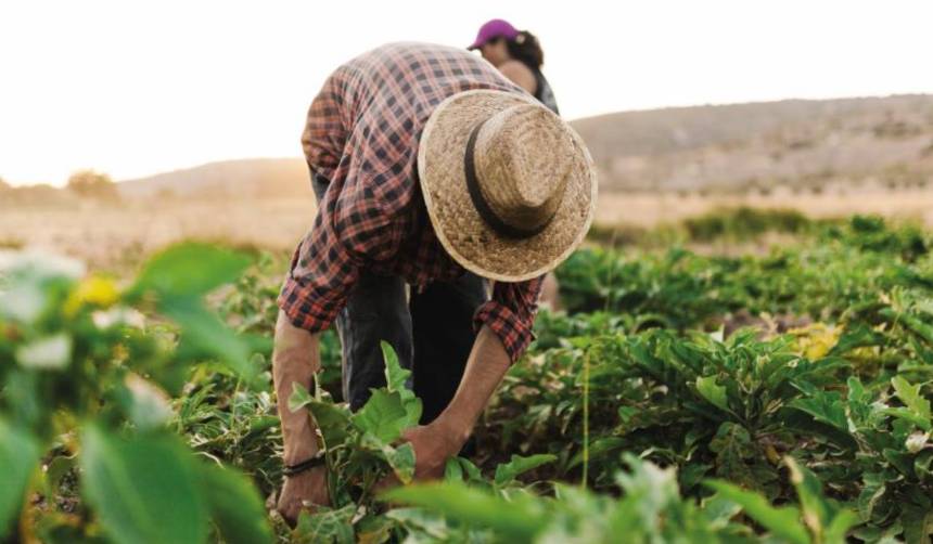 Cámara de Diputados debate un crédito de más de 22 millones de euros para el sector agrícola