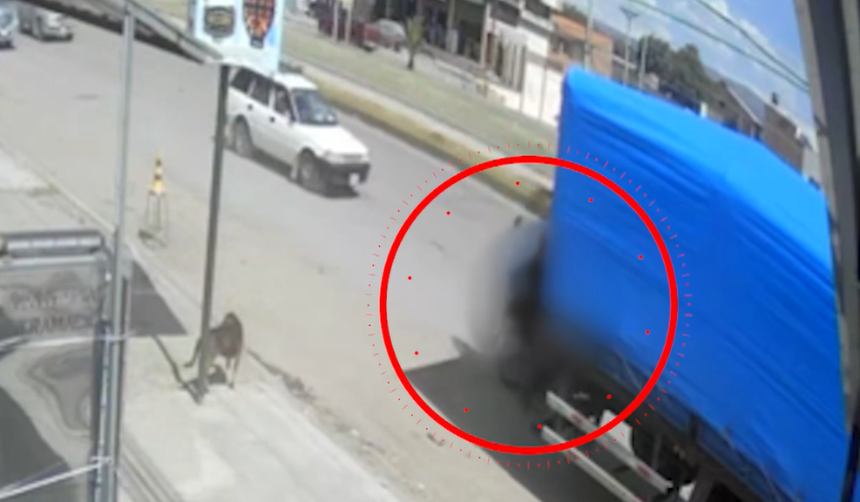 Video: Motociclista muere tras chocar contra un auto y luego contra un tráiler