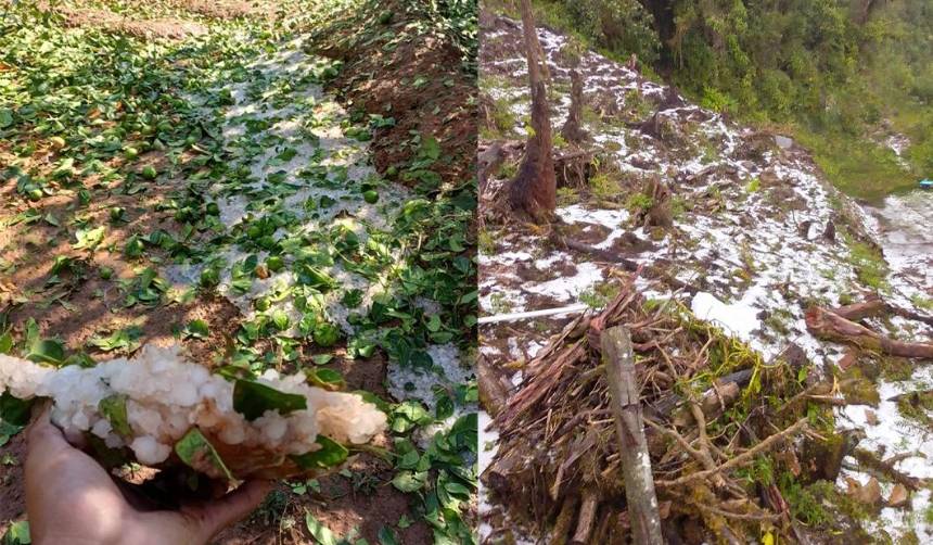 Cochabamba: Intensa granizada causa estragos en los municipios de Colomi y Vila Vila