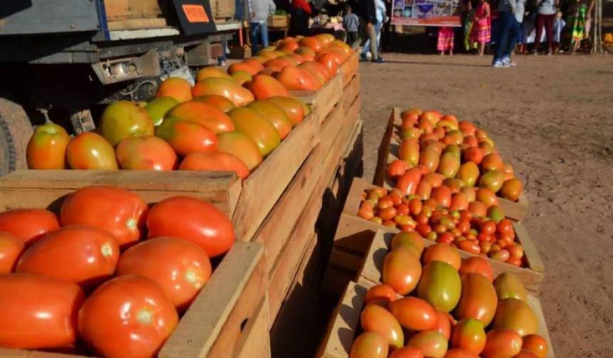 “Se pierde la mitad”: Productor de tomate de los valles cruceños lamenta que no puede trasladar alimentos a otras regiones