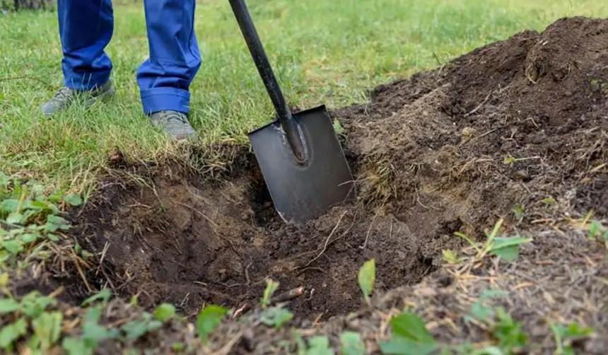 Estaba cavando en su jardín y descubrió un misterioso tesoro con monedas y lingotes de oro