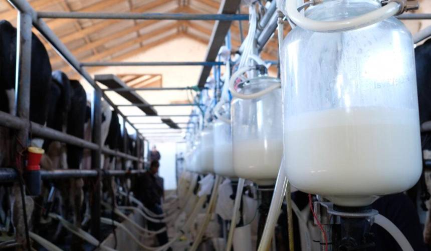 Lecheros: Más de 200 granjas de producción se cerraron en Santa Cruz en los últimos cinco años