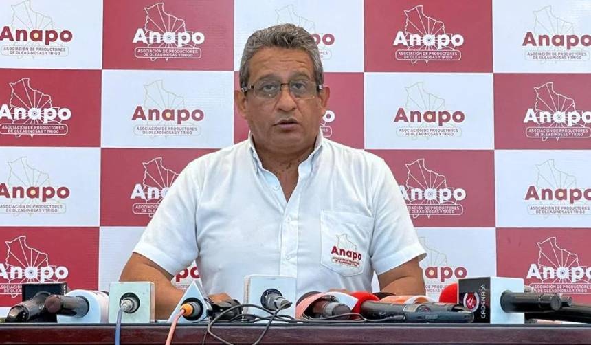 “Santa Rita es estratégico, a partir de ahí los avasalladores quieren tomar 70.000 hectáreas”, denuncia gerente de Anapo