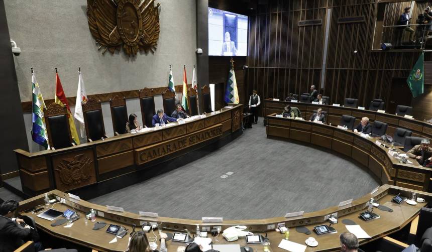 Senado inicia tratamiento de crédito de $us 200 millones del Banco Mundial para “protección social de las familias” 