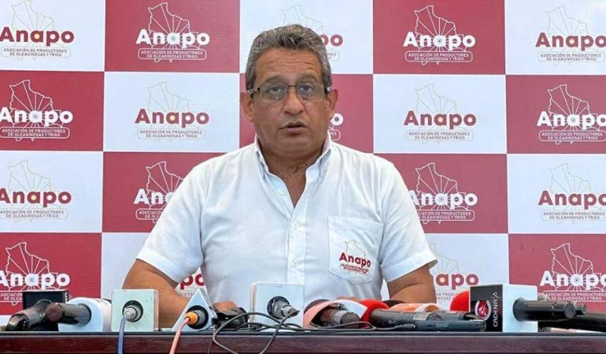 Ante el déficit, Anapo urge al Gobierno activar un plan nacional de trigo e impulsar la biotecnología
