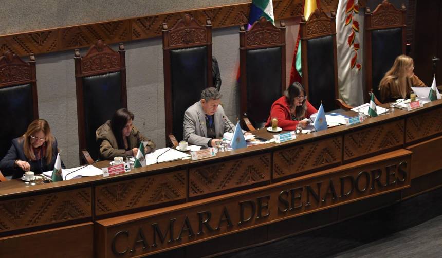 Senado aplaza hasta el jueves tratamiento de crédito de $us 40 millones del BID para saneamiento de tierras