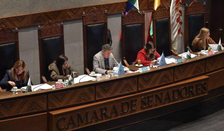 El Senado aprueba dispensación del trámite para el crédito del FMI y el ministro de Economía explica sus alcances