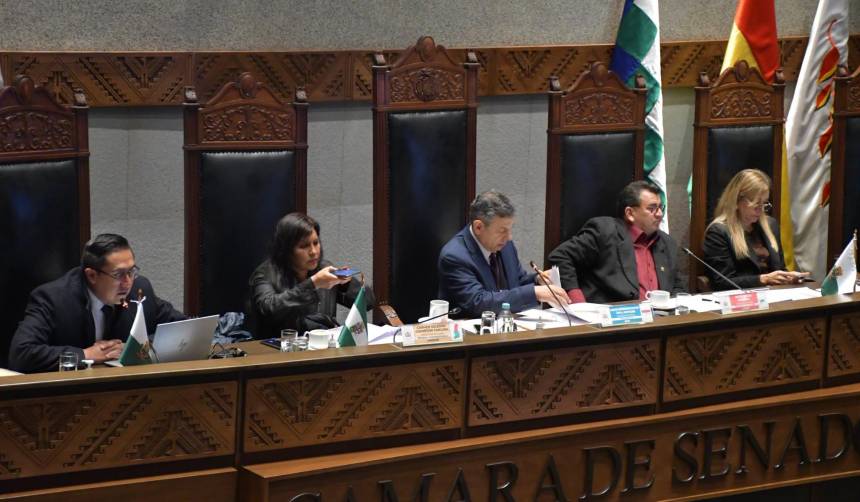Senadores de Libre anuncian petición de informe sobre financiamiento de separata sobre Bolivia en USA Today