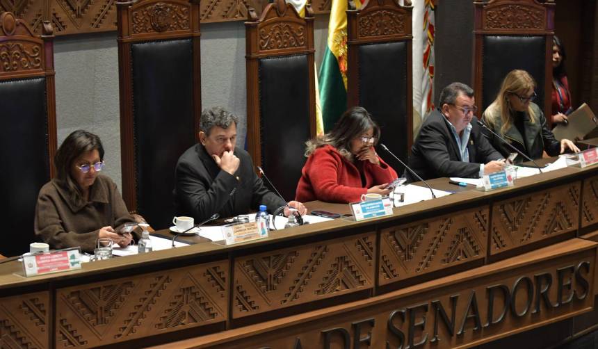 Comisión del Senado debate el PGE 2026 con la presencia de dos viceministros de Economía