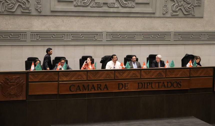 Cámara de Diputados instala sesión convocada para tratar el proyecto de ley para las elecciones subnacionales