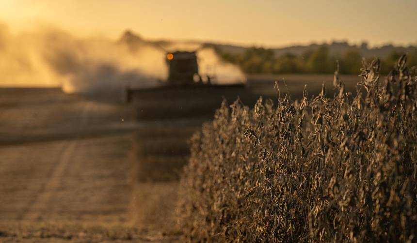 Anapo: Agro requiere 70 millones de litros de diésel hasta diciembre para la campaña de verano