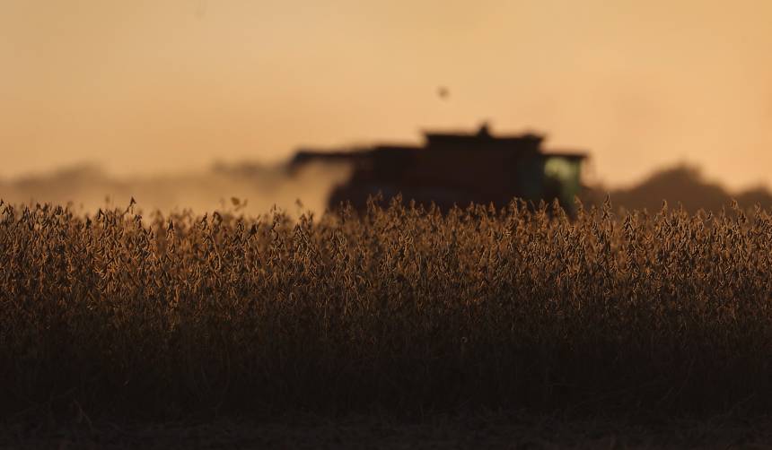 “Estamos en una fase crítica”: Falta de diésel condiciona disponibilidad de semillas para el verano, advierte Anapo