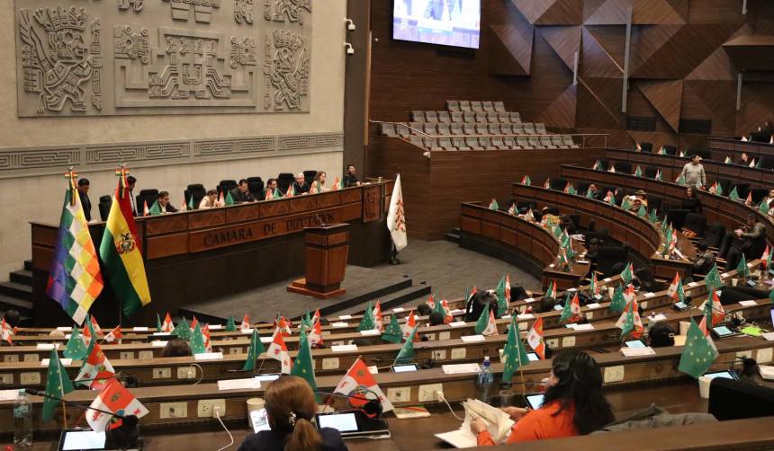Diputados: Tras aprobar en grande la ley para las subnacionales, el debate se prolonga durante la madrugada