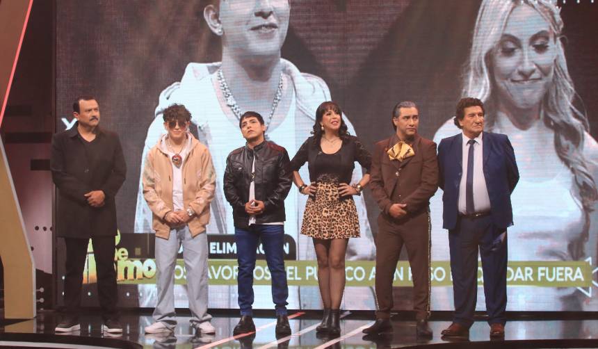Nominados: vuelven dispuestos a darlo todo para quedarse