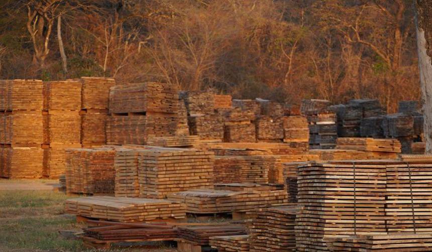 Exportadores instan al Gobierno a trabajar con el sector forestal ante la caída de las ventas externas