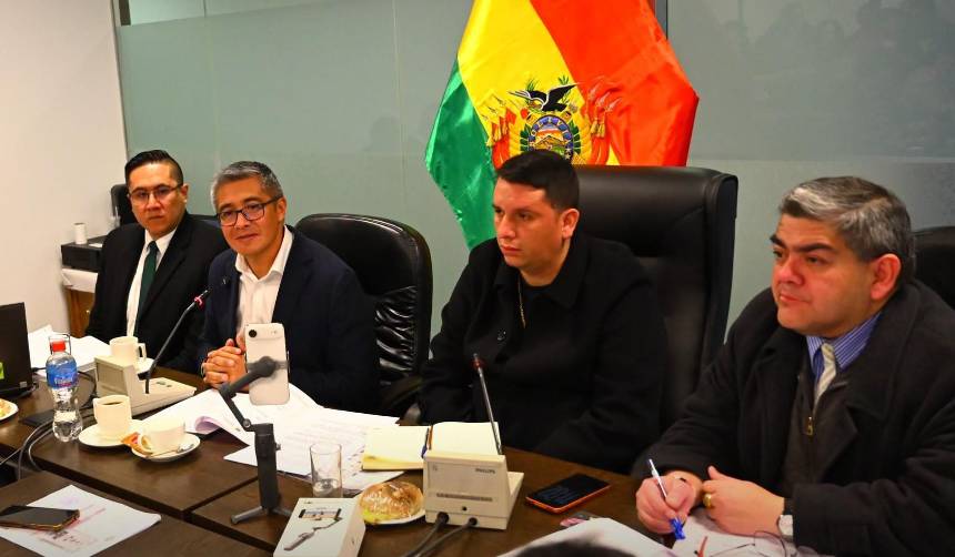 Comisión de Diputados aprueba tres créditos por más de $us 564 millones para agricultura y protección social