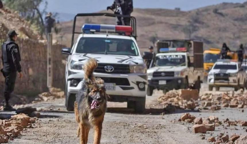 Comando de Quillacollo adopta a Rex, “el perrito desbloqueador” que “se unió” al despeje de la ruta a Oruro