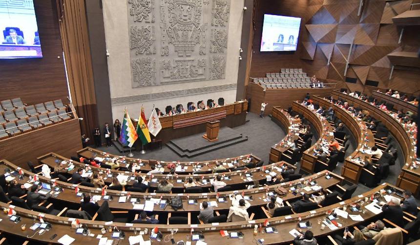 Interpelación: Legisladores critican al ministro Medinaceli y algunos piden su censura