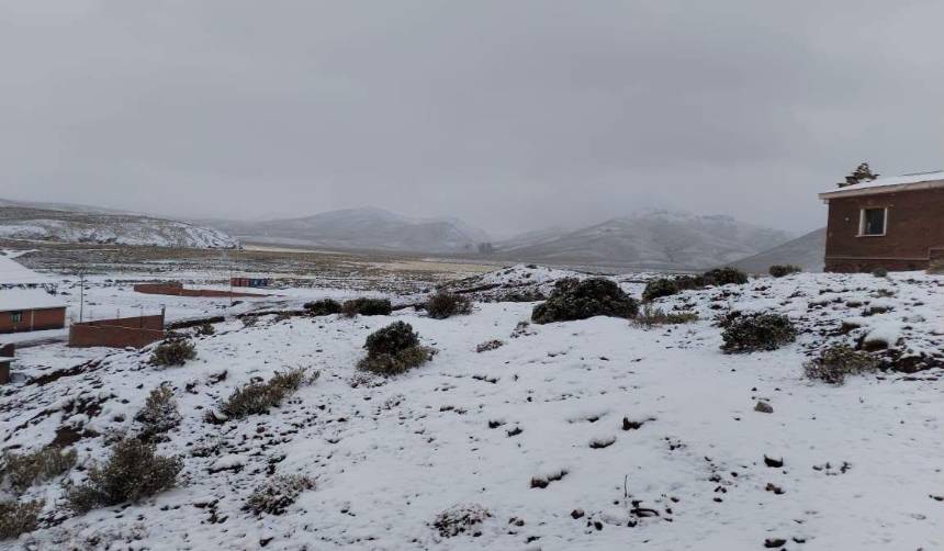 Reportan que las nevadas ponen en riesgo la alimentación del ganado en 12 comunidades de Potosí 