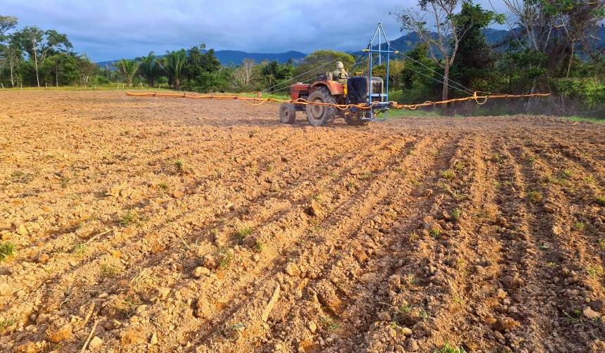 Siembra de soya en el norte paceño: Hay limitaciones técnicas, logísticas y ambientales, advierte experto