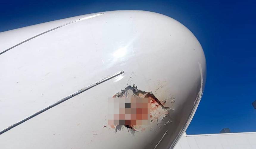 BoA reporta que los vuelos se demoraron el sábado por la “colisión de aves” y el clima