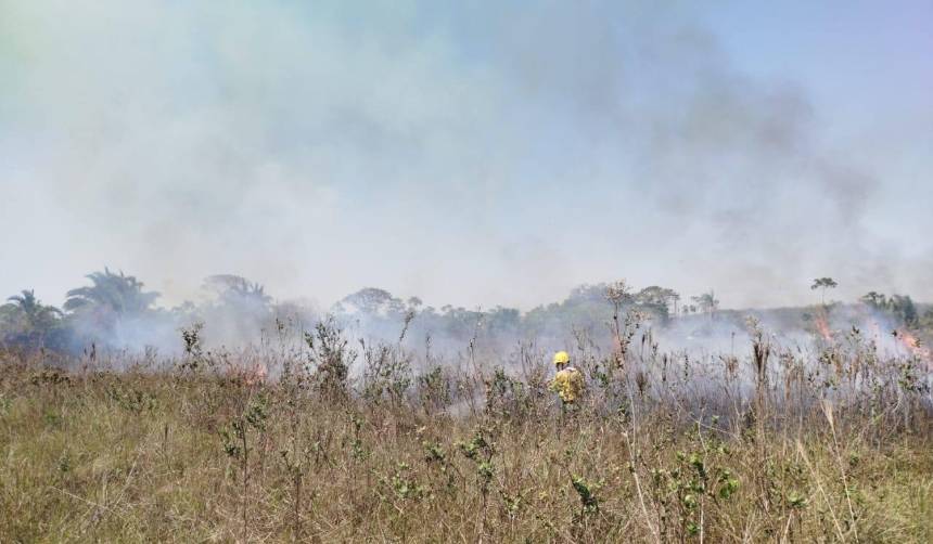 Reportan 13 incendios forestales activos que afectan ocho municipios en Santa Cruz